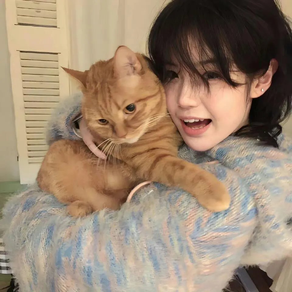 白山茶与黑月光